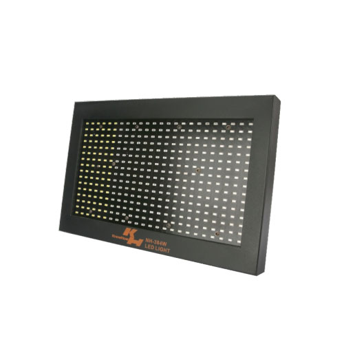 NH-384W
